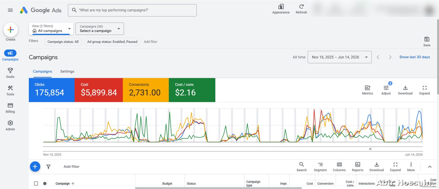 Google Ads campaign results — client data anonymized